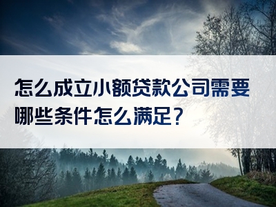 怎么成立小额贷款公司需要哪些条件怎么满足？