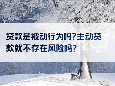 贷款是被动行为吗？主动贷款就不存在风险吗？