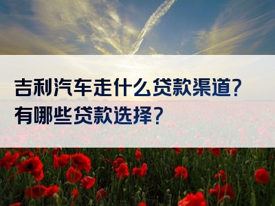 吉利汽车走什么贷款渠道？有哪些贷款选择？