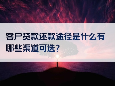 客户贷款还款途径是什么有哪些渠道可选？