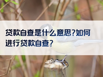 贷款自查是什么意思？如何进行贷款自查？