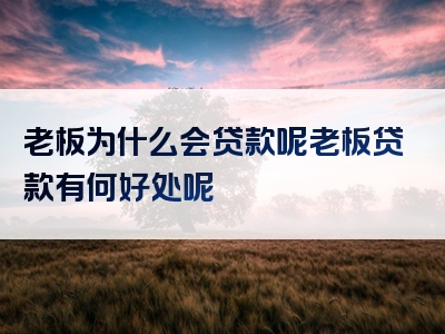 老板为什么会贷款呢老板贷款有何好处呢