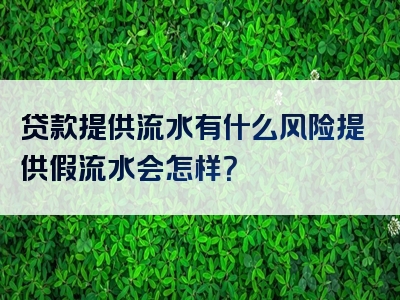 贷款提供流水有什么风险提供假流水会怎样？