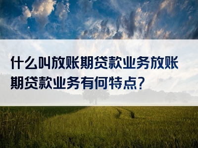 什么叫放账期贷款业务放账期贷款业务有何特点？