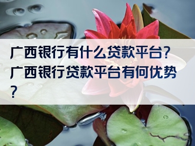 广西银行有什么贷款平台？广西银行贷款平台有何优势？