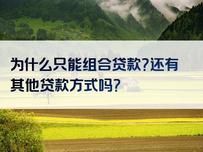 为什么只能组合贷款？还有其他贷款方式吗？