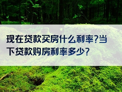 现在贷款买房什么利率？当下贷款购房利率多少？