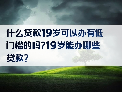 什么贷款19岁可以办有低门槛的吗？19岁能办哪些贷款？