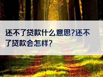 还不了贷款什么意思？还不了贷款会怎样？