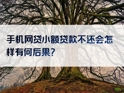 手机网贷小额贷款不还会怎样有何后果？