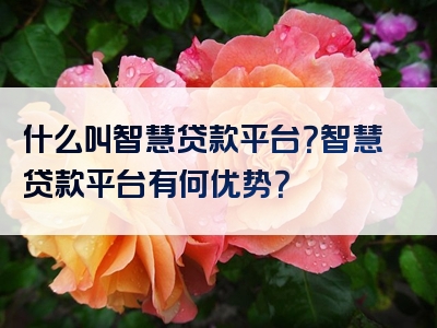 什么叫智慧贷款平台？智慧贷款平台有何优势？