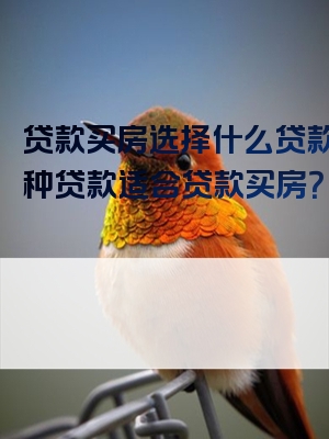 贷款买房选择什么贷款？哪种贷款适合贷款买房？