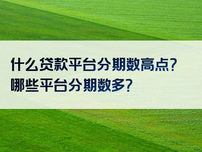 什么贷款平台分期数高点？哪些平台分期数多？