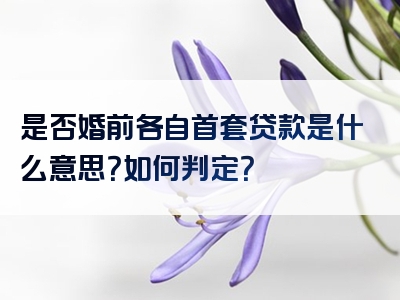 是否婚前各自首套贷款是什么意思？如何判定？