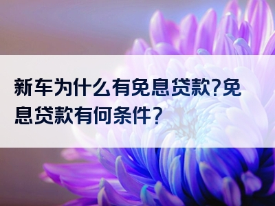 新车为什么有免息贷款？免息贷款有何条件？