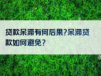 贷款呆滞有何后果？呆滞贷款如何避免？