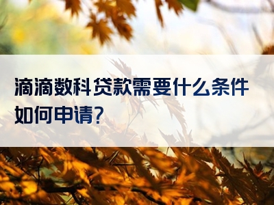 滴滴数科贷款需要什么条件如何申请？