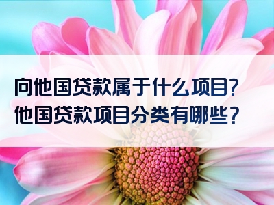 向他国贷款属于什么项目？他国贷款项目分类有哪些？