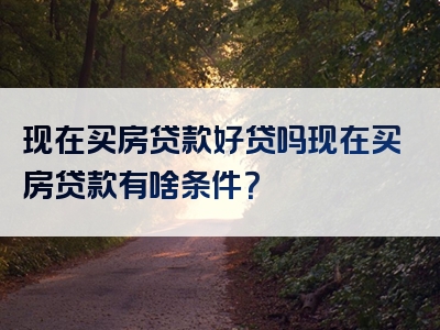 现在买房贷款好贷吗现在买房贷款有啥条件？