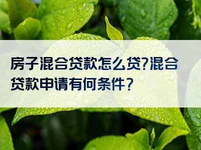 房子混合贷款怎么贷？混合贷款申请有何条件？