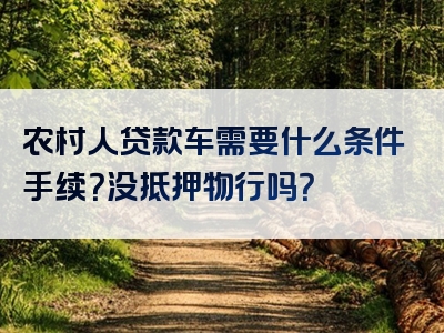 农村人贷款车需要什么条件手续？没抵押物行吗？