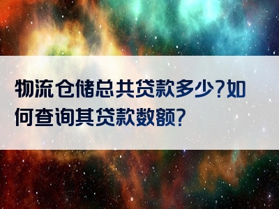 物流仓储总共贷款多少？如何查询其贷款数额？