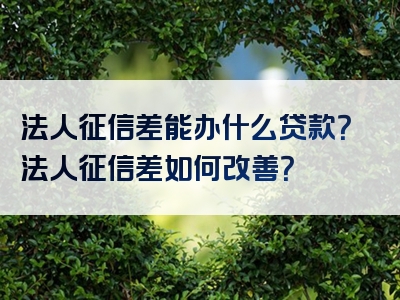 法人征信差能办什么贷款？法人征信差如何改善？