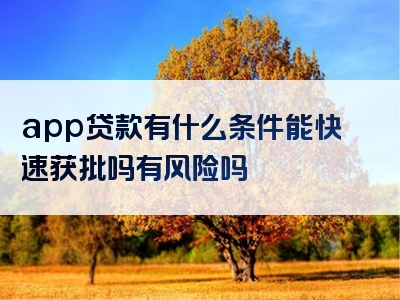 app贷款有什么条件能快速获批吗有风险吗