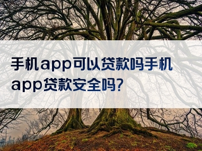 手机app可以贷款吗手机app贷款安全吗？