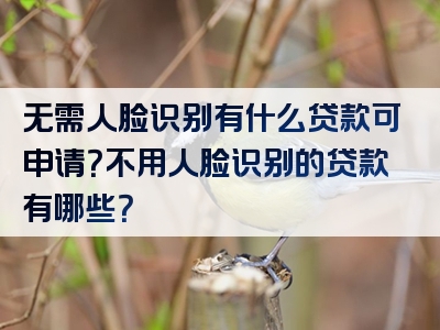 无需人脸识别有什么贷款可申请？不用人脸识别的贷款有哪些？