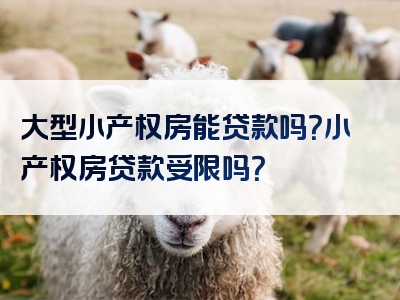 大型小产权房能贷款吗？小产权房贷款受限吗？