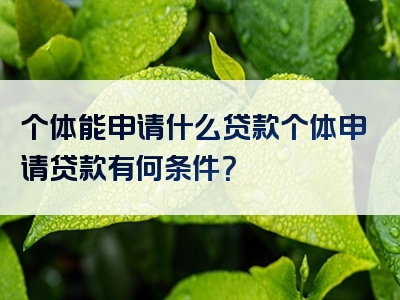 个体能申请什么贷款个体申请贷款有何条件？