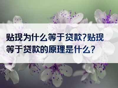 贴现为什么等于贷款？贴现等于贷款的原理是什么？