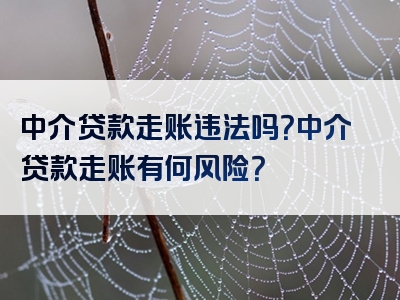 中介贷款走账违法吗？中介贷款走账有何风险？