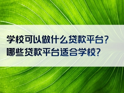 学校可以做什么贷款平台？哪些贷款平台适合学校？