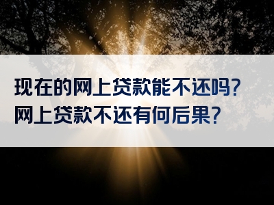 现在的网上贷款能不还吗？网上贷款不还有何后果？