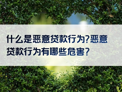 什么是恶意贷款行为？恶意贷款行为有哪些危害？