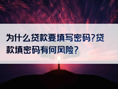 为什么贷款要填写密码？贷款填密码有何风险？