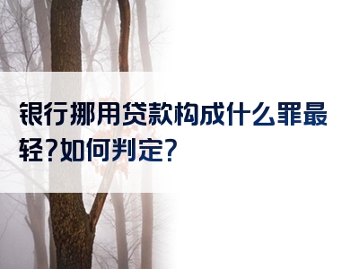 银行挪用贷款构成什么罪最轻？如何判定？