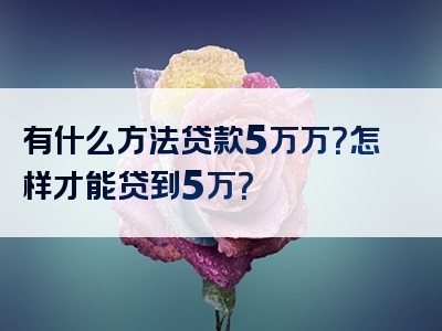 有什么方法贷款5万万？怎样才能贷到5万？