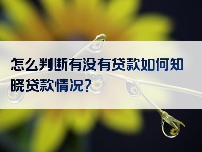 怎么判断有没有贷款如何知晓贷款情况？