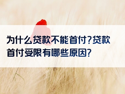 为什么贷款不能首付？贷款首付受限有哪些原因？