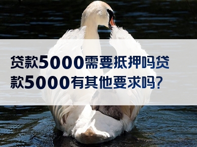 贷款5000需要抵押吗贷款5000有其他要求吗？