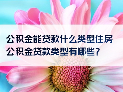 公积金能贷款什么类型住房公积金贷款类型有哪些？