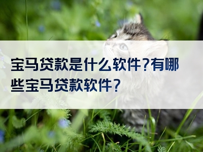 宝马贷款是什么软件？有哪些宝马贷款软件？