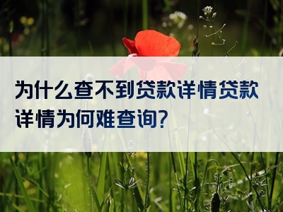 为什么查不到贷款详情贷款详情为何难查询？