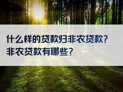 什么样的贷款归非农贷款？非农贷款有哪些？