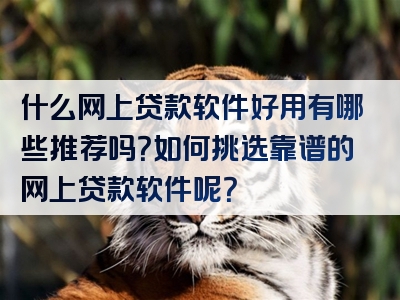 什么网上贷款软件好用有哪些推荐吗？如何挑选靠谱的网上贷款软件呢？