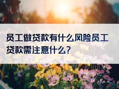 员工做贷款有什么风险员工贷款需注意什么？