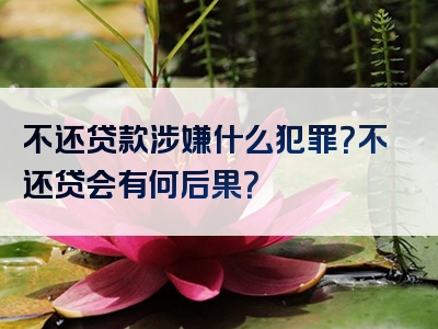 不还贷款涉嫌什么犯罪？不还贷会有何后果？